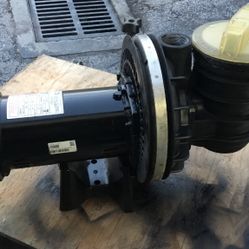 POOL PUMP STA-RITE 1.0HP