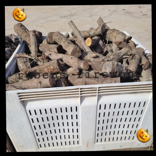 Firewood