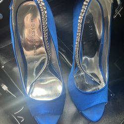 Blue and Silver Heels
