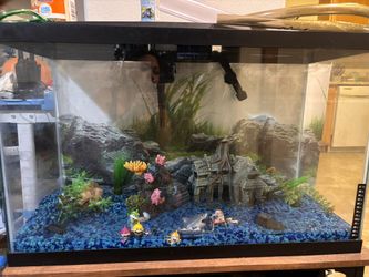 Fish Tank
