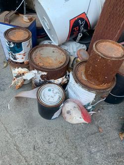 Paint