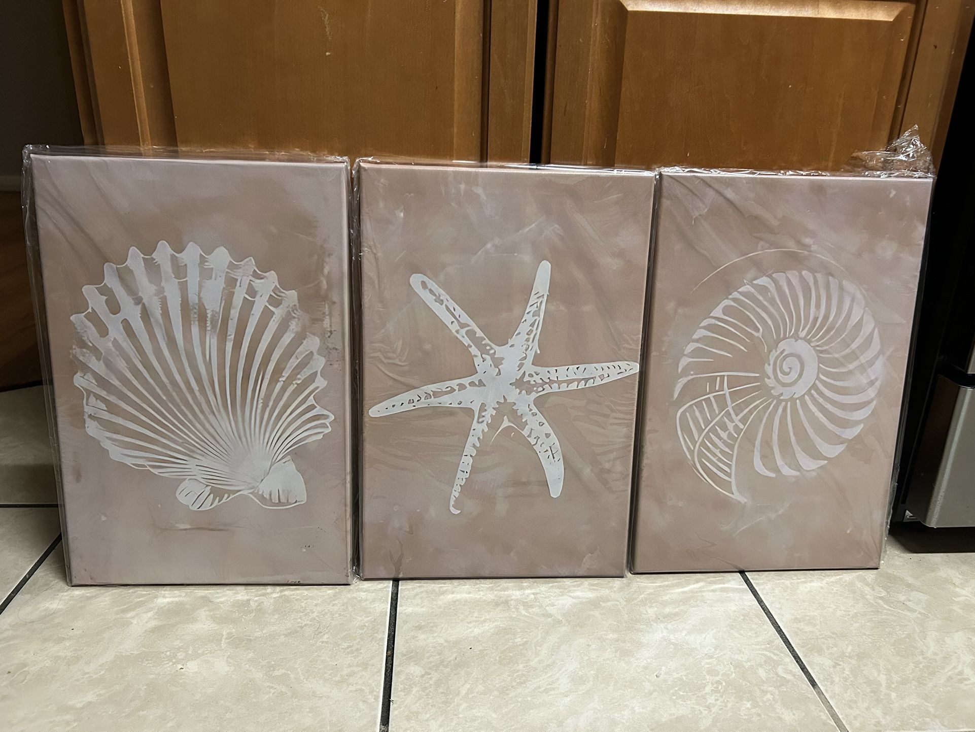 Sea Shell Wall Art
