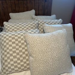Brand New Couch Pillows