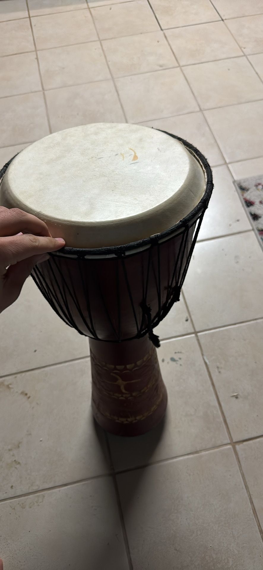 Bongo