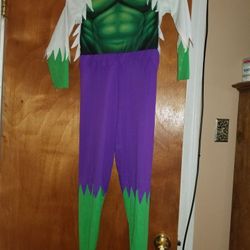 Hulk Halloween costume