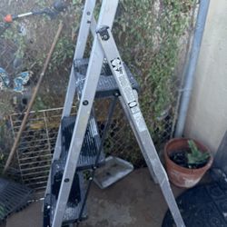 5 Foot Ladder 