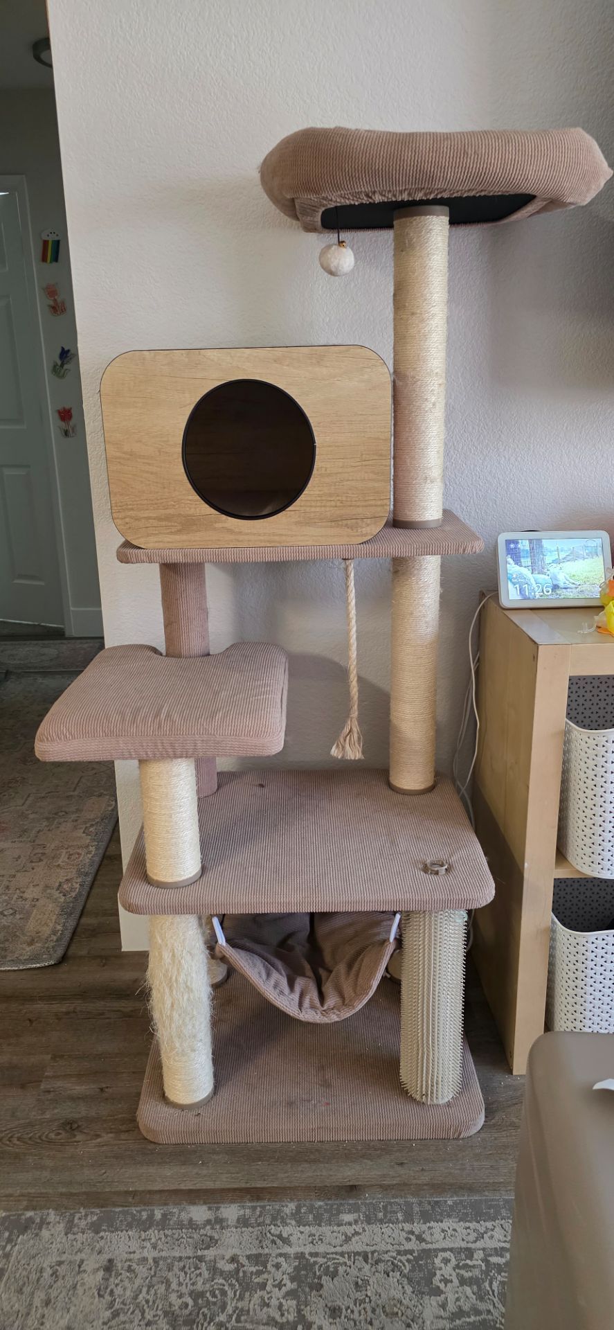 CAT TOWER SANCTUARY