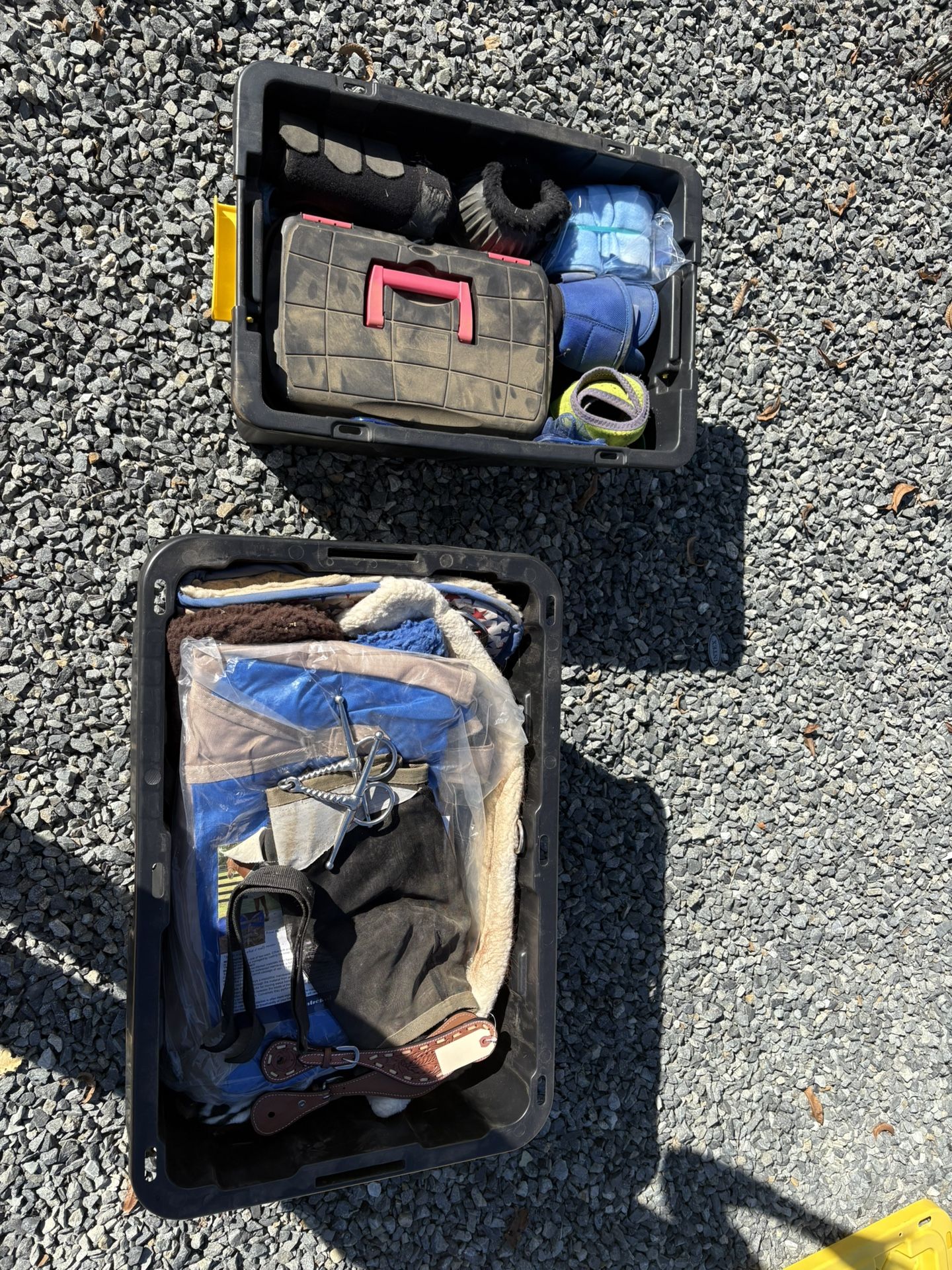 Horse Supplies 