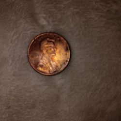 1998 wide AM PENNIE