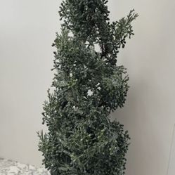 Crate & Barrel Tree 