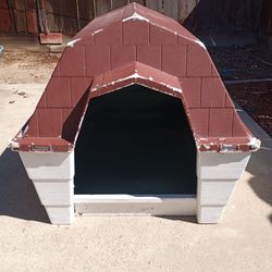 Big Dog House 