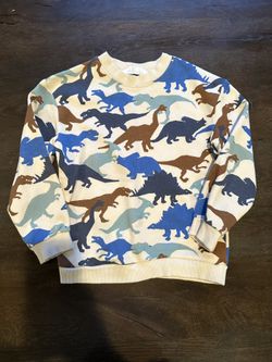 H&M Dinosaur Sweatshirt - Boys Size 5T