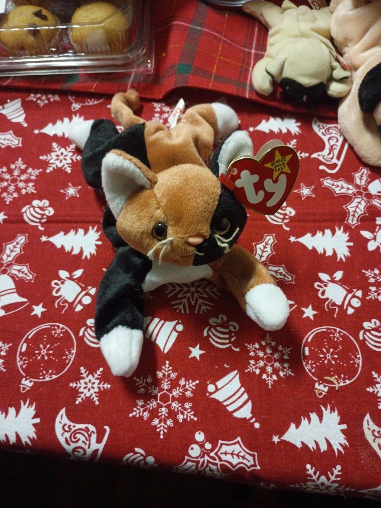 Chip Date Of Birth January 26 1996