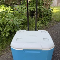 Large Cooler 