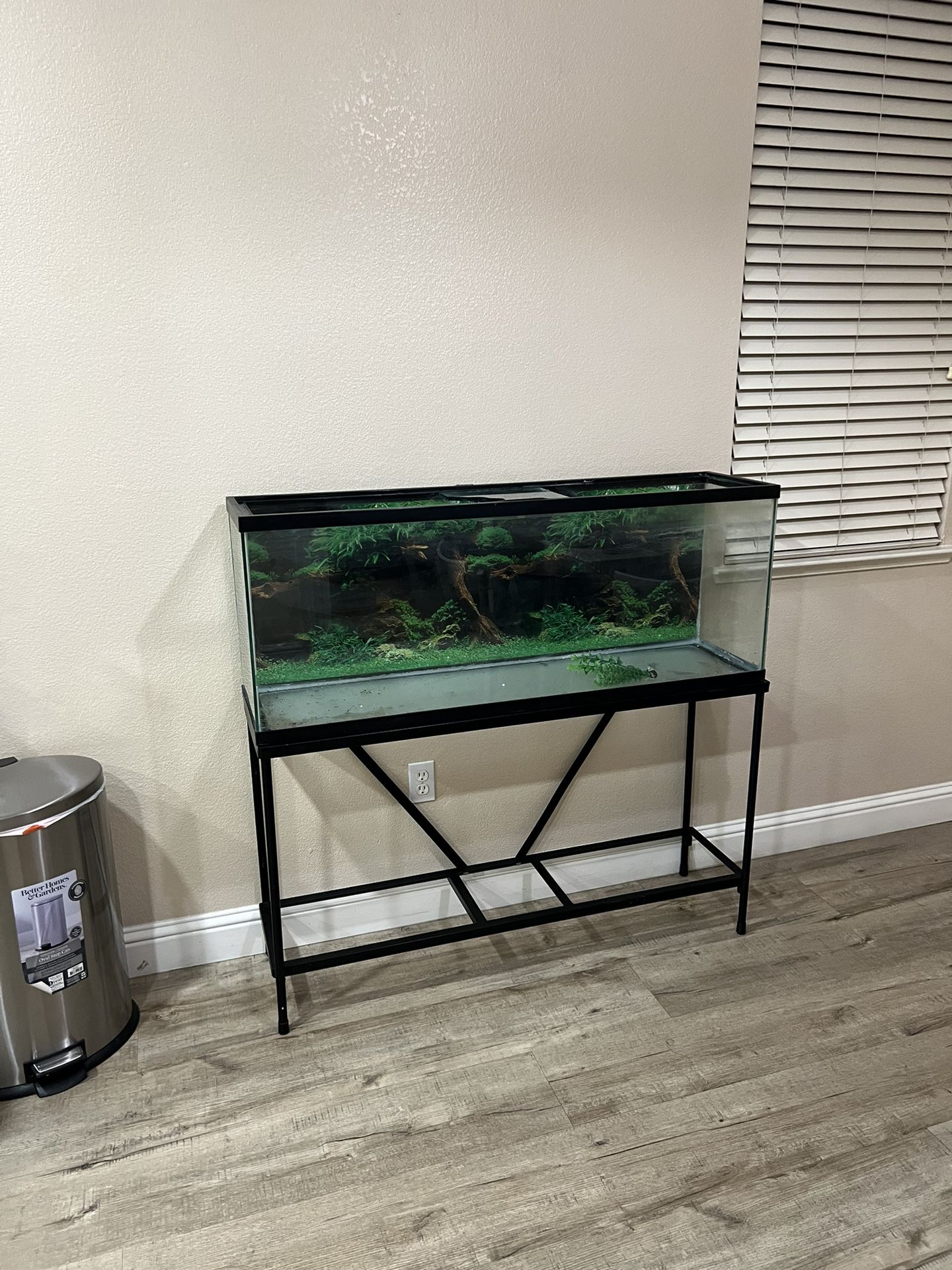55 Gallon Fish Tank Aquarium With Stand 