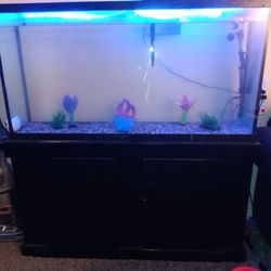100 Gallon Tank With Everything 
