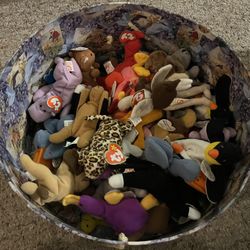 Ty Beanie Babies