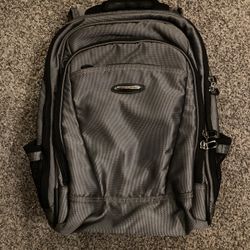 Briggs & Riley Silver Backpack