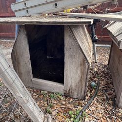 Flat Roof  Dog House