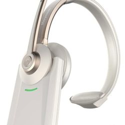 Hoyzem WIRELESS HEADSET WITH MICROPHONE *CHARGING DOCK *USB DONGLE