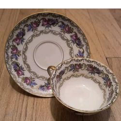 Vienna by Rosenthal Footed Cup & Saucer Set