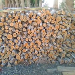 Apple Wood