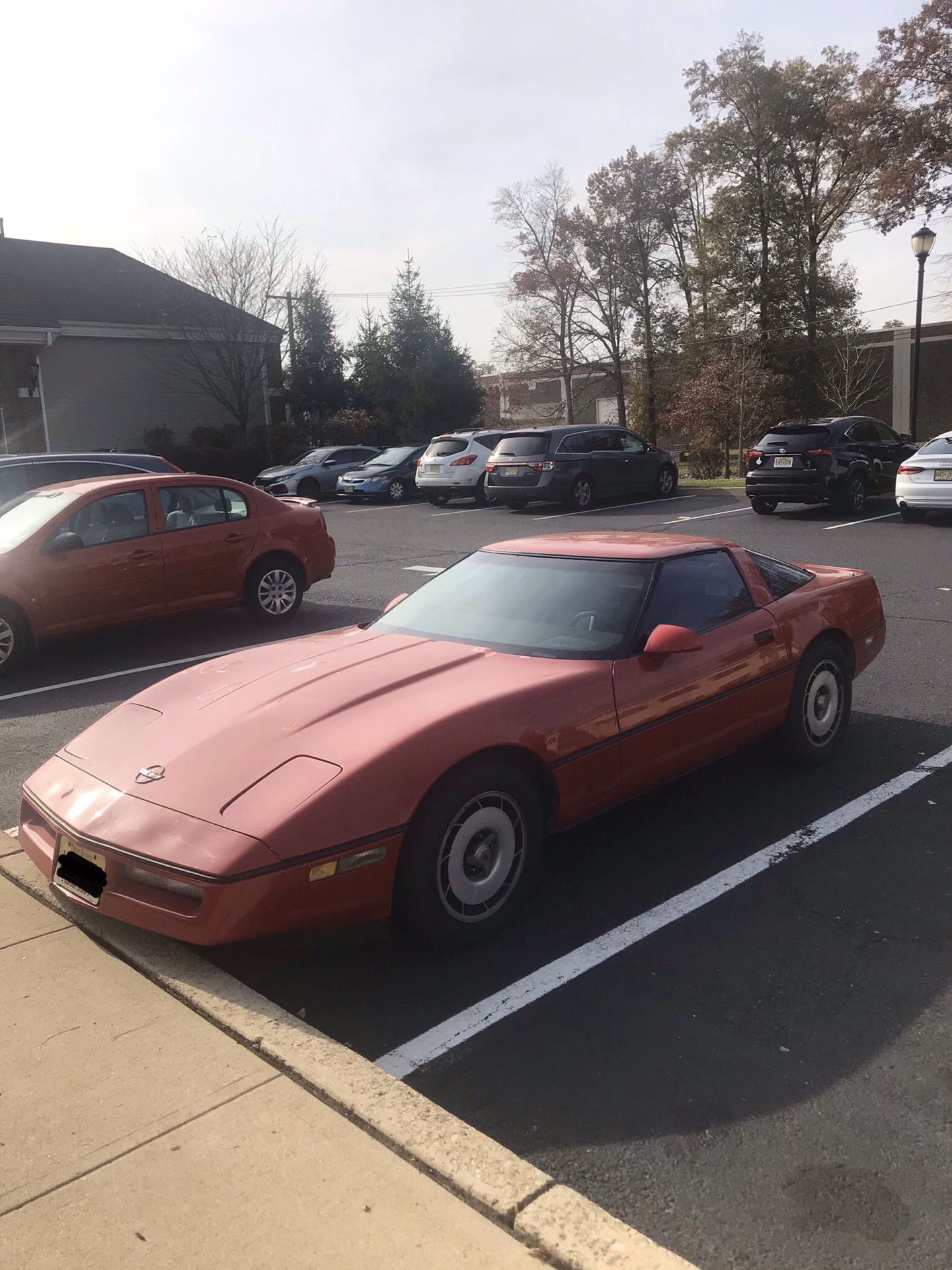 1984 Chevrolet Corvette