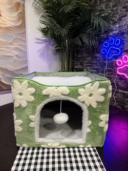 Gorgeous Cat House Forest Green Flowers!! 🐾🍃💚😍