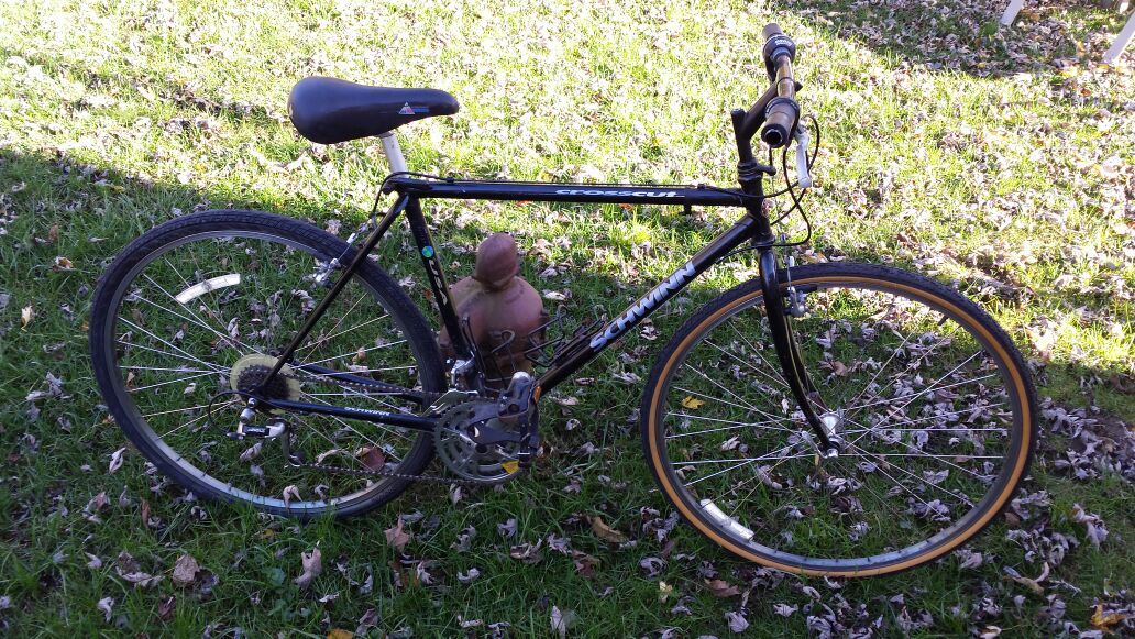 schwinn crosscut