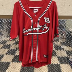 NASCAR Earnhardt Jr #8