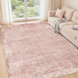 5 x 7 ft Area Rug