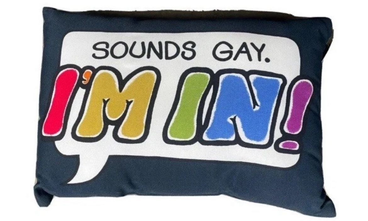 🌈 “SOUNDS GAY. I’M IN!” The Loud Proud, & Comfy AF Throw Pillow - Olly Gibbs 💅