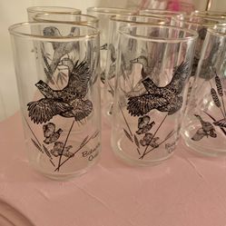 Vintage Hunting Bird Glass Set 