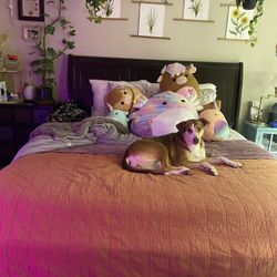 Free King Size Sleigh Bed