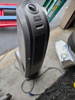 Fan