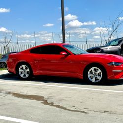 2019 Ford Mustang