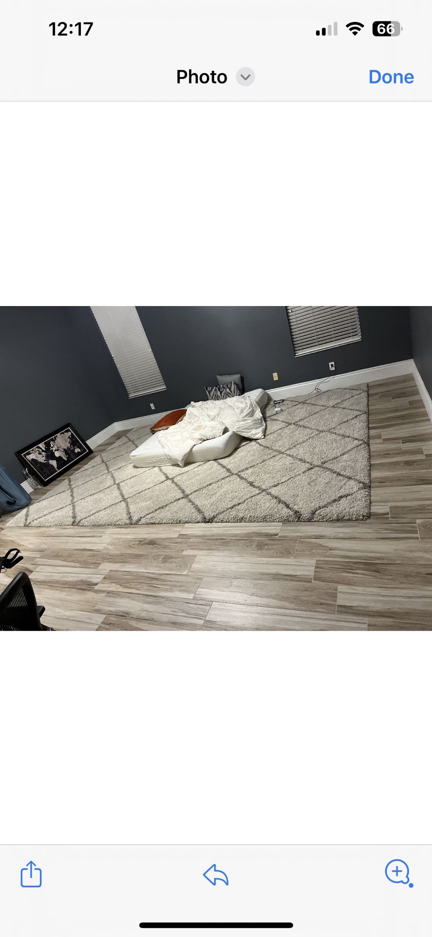 Huge Rug Excellent Condition 10x14