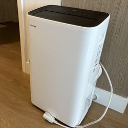 portable AC for indoor use