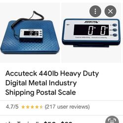 Heavy Duty Scale