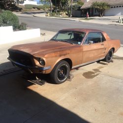1967 Mustang 