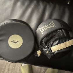 Everlast  Boxing Mitts