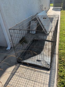 Kennel