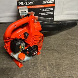 Echo 170 MPH 453 CFM 25.4 cc Gas 2-Stroke Handheld Leaf Blower
