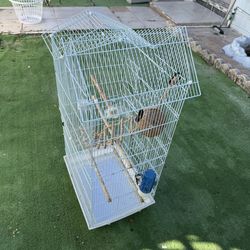 Cage For Cockatiel 