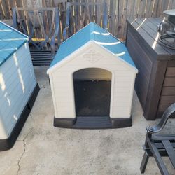 Dog House 
