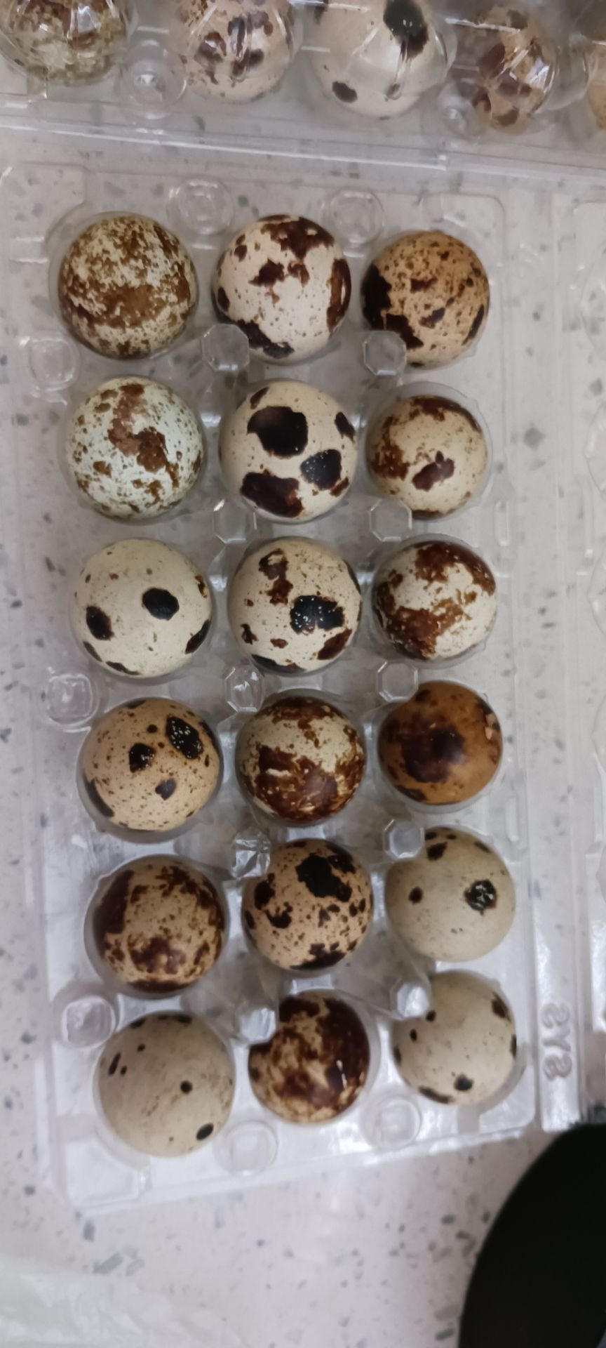 Fresh quial eggs