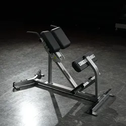 HAMMER STRENGTH BACK EXTENSION