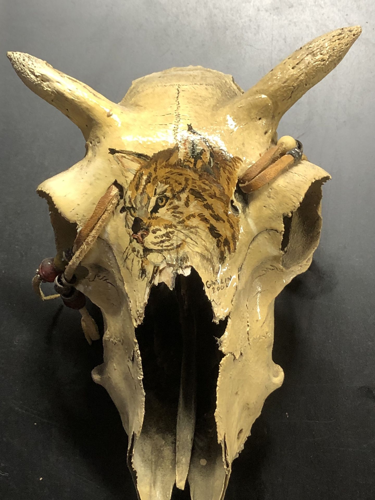 Authentic Goat Skull