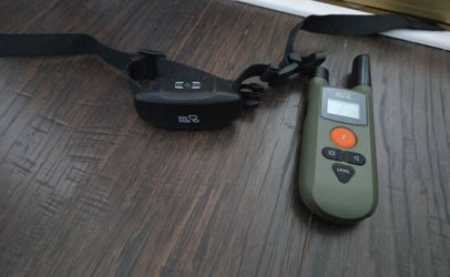 DOG CARE Dog Training Collar with a green remote transmitter