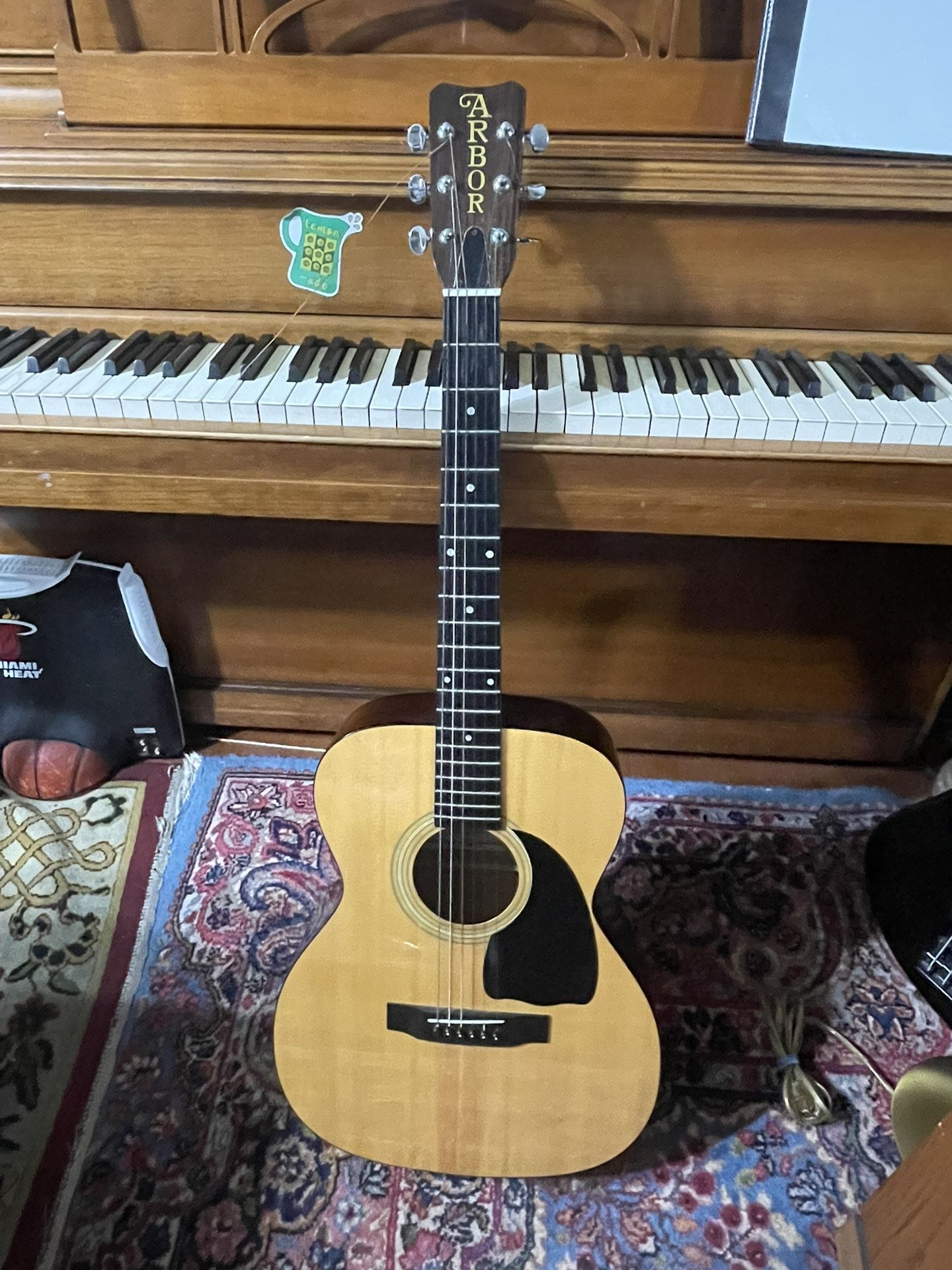 Arbor Acoustic Guitar with Case